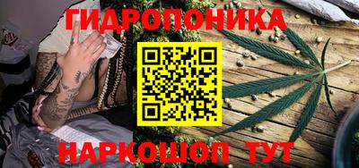 дживик Славгород