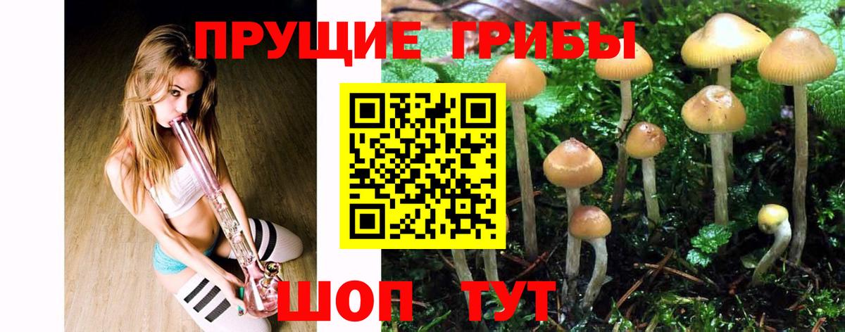 Нижний Тагил  Галлюциногенные грибы GOLDEN TEACHER  Вход с VPN 